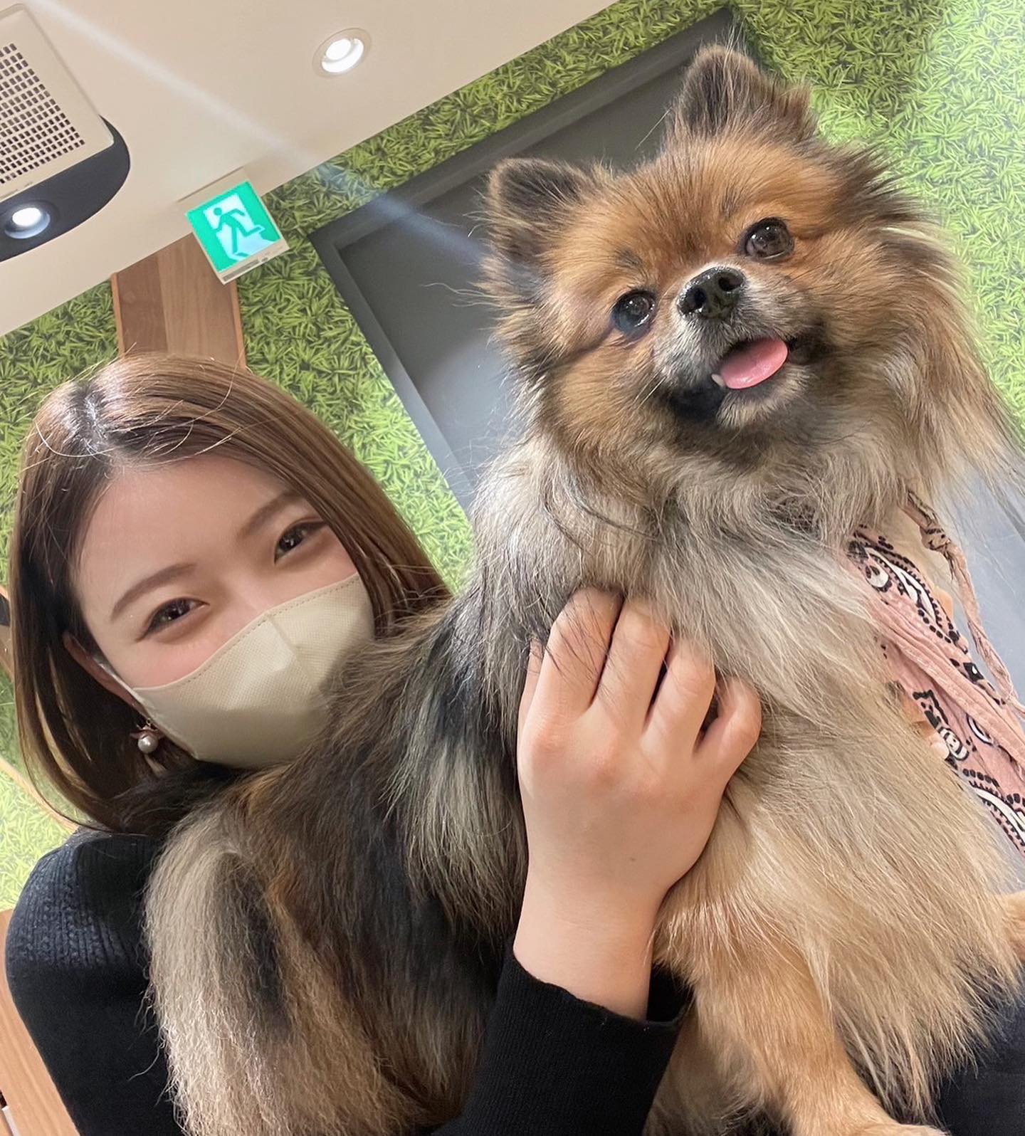 紀平梨花が🐶とツーショット👀「カメラ目線上手🐶😍👏」