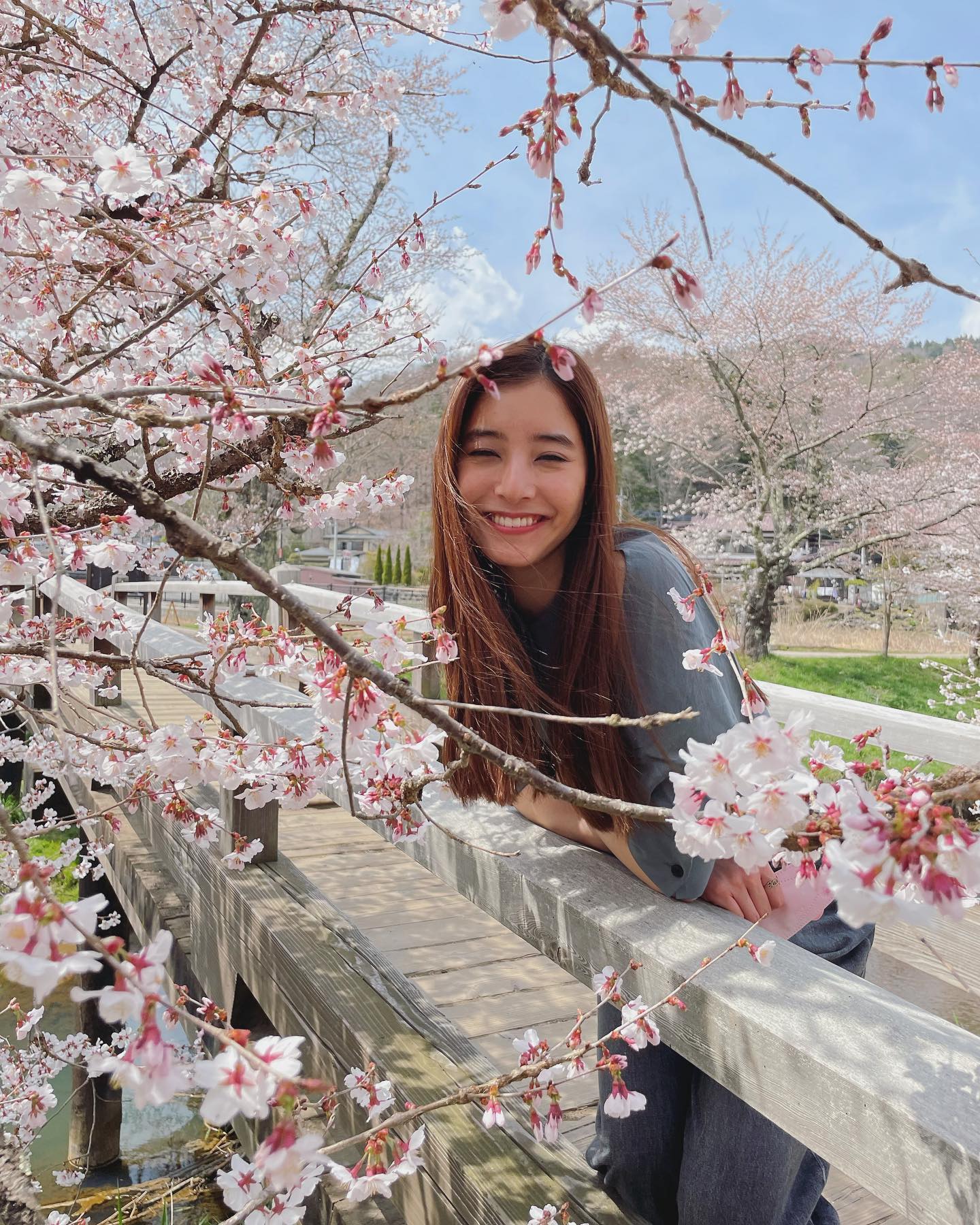 「美しすぎる😳」新木優子さんが桜と微笑む姿に絶賛の声🌸💖