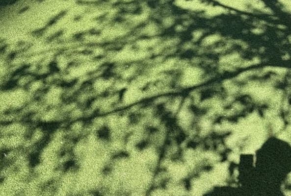 「おごってーとさ、笑。」市川海老蔵、甘え上手な一言に胸キュン