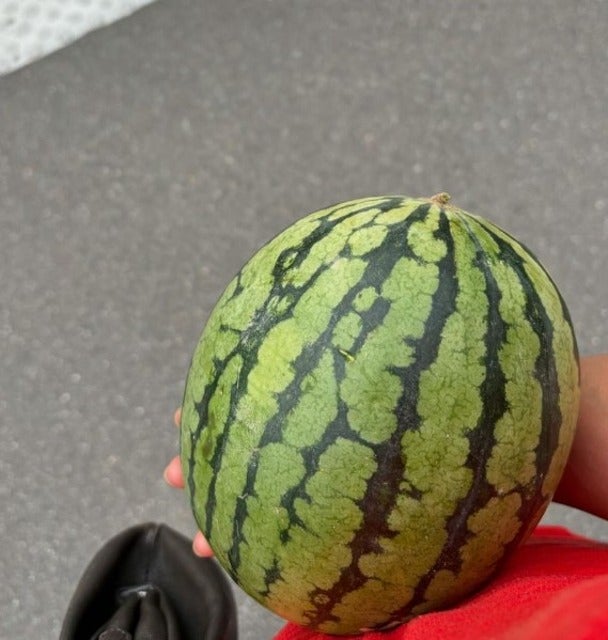 猫沢エミと夏の終わり