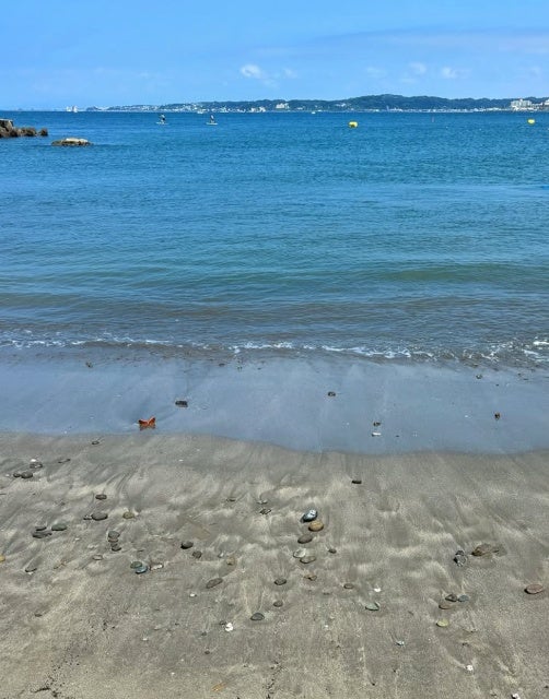 元AKB48・光宗薫が“原点回帰”語る想い、プレバト500回記念SPで見せるアートの深化