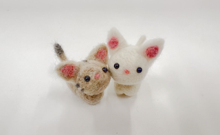 白石麻衣「家族を暖かく見守ってください」新たな家族ショットにいいね続々⁇