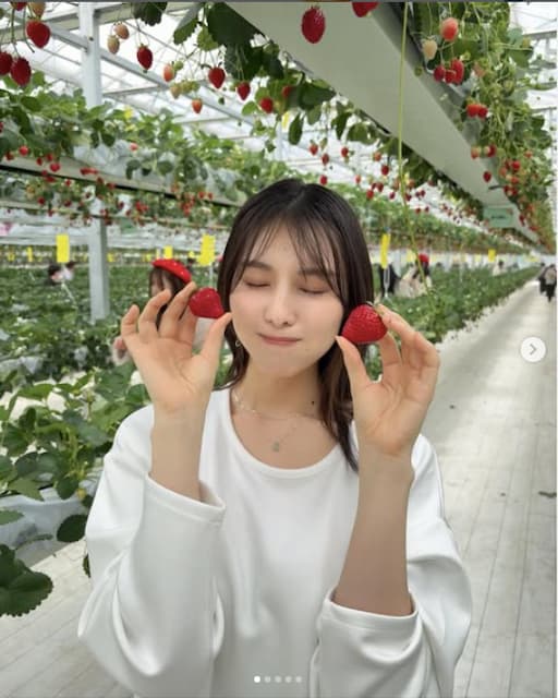 「うまうまっ」相楽伊織がいちご狩りの様子を投稿！