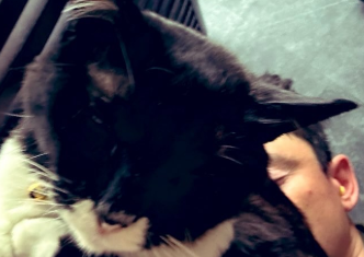 「犯人はお前か！」野口健、猫に枕を占領され“金縛り”の真相が判明！？