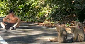 那須川天心が猿との動画を投稿！