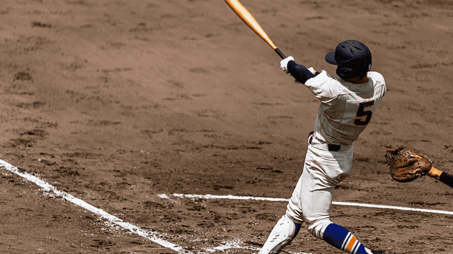 夏の高校野球、西東京の注目校を紹介