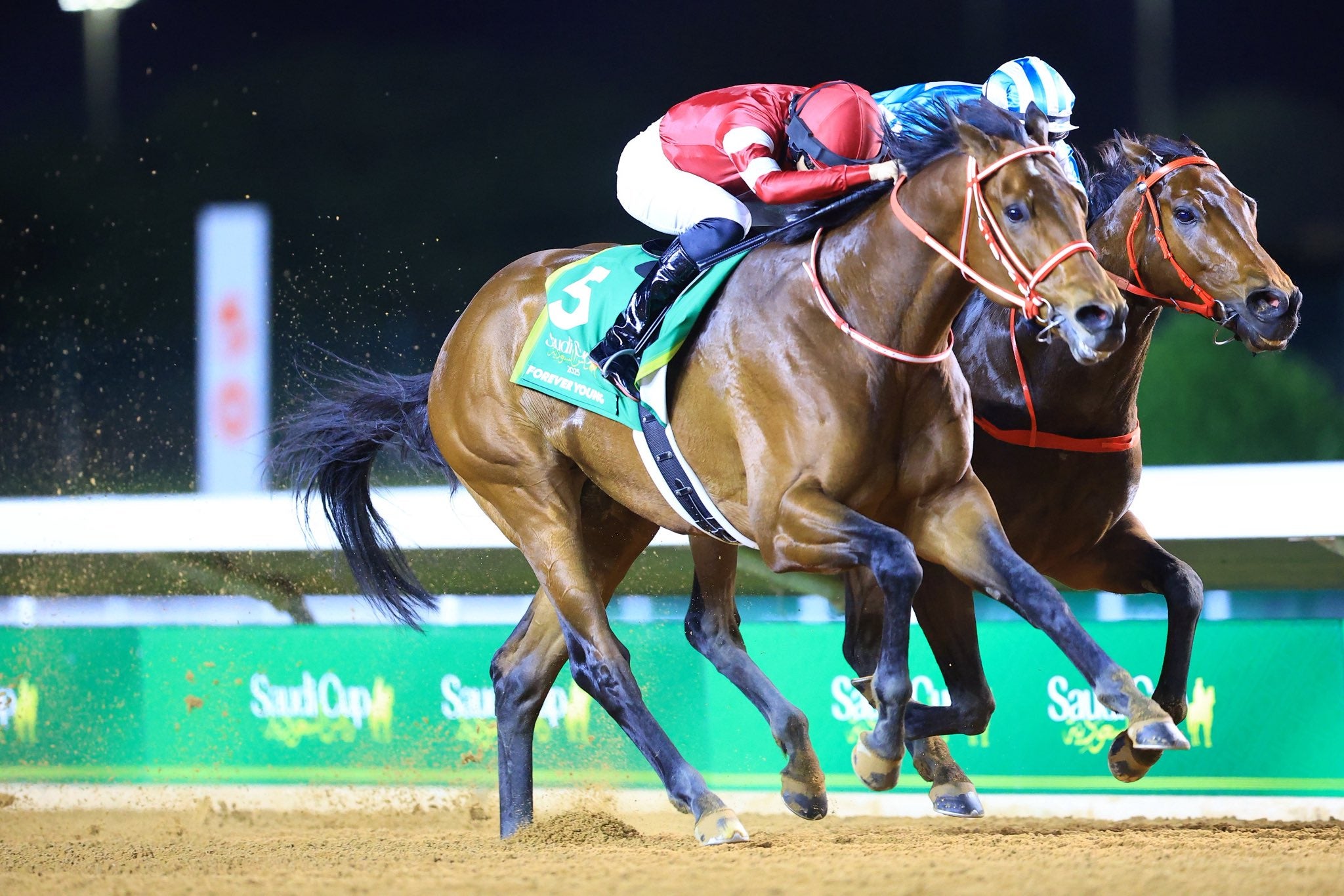 【サウジカップ】フォーエバーヤングが史上初の連覇に挑む　 賞金総額31億円、米国勢との激突へ