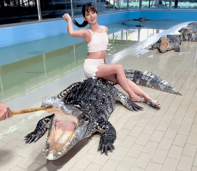 「ワニ…好きですか？」話題のタモ網姉ちゃん、ワニの上で”美髪かき上げ・フェロモンショット”に反響！「これぞワニワニパニック」