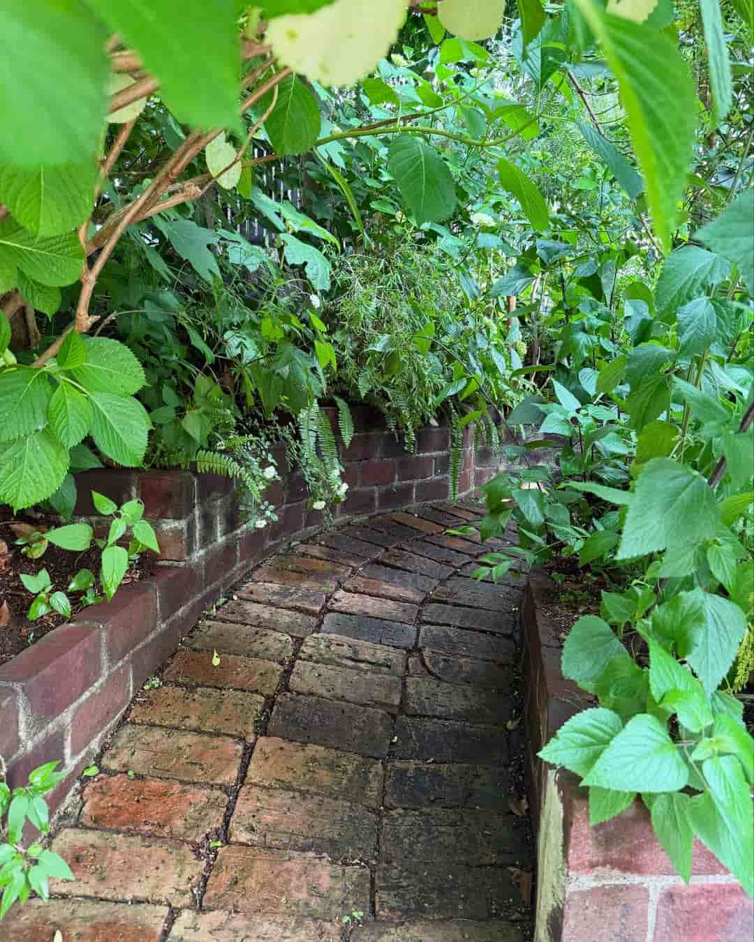 栗原はるみ、自宅の庭にある“物語のような小道”を公開　「歩いてみたい！」と絶賛の声続出