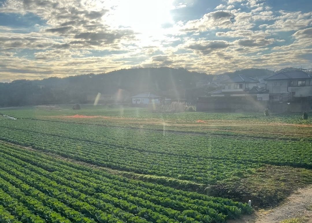 木村多江が語る平和への願い　広島から世界へ、静かなメッセージ