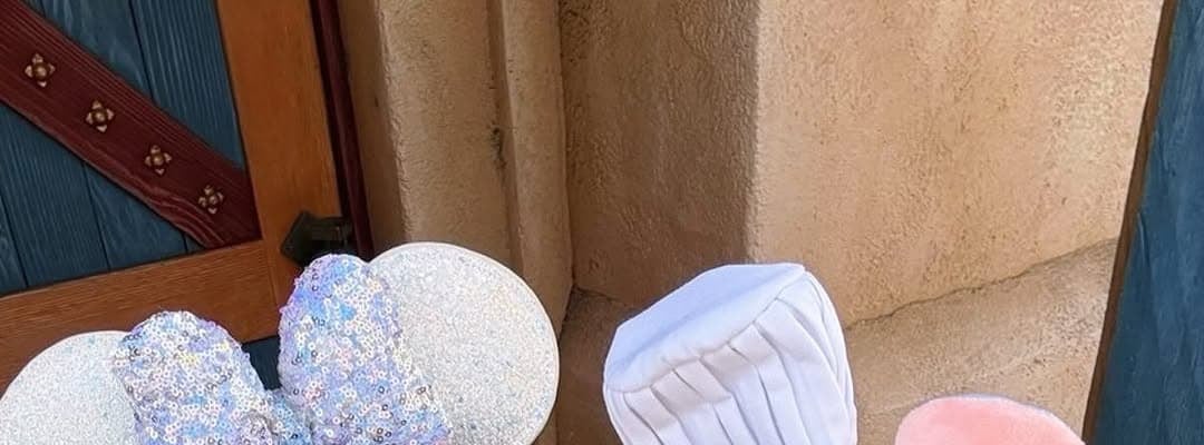 松井玲奈、高柳明音とのディズニーシー満喫ショットを公開！「名コンビ復活」と話題に