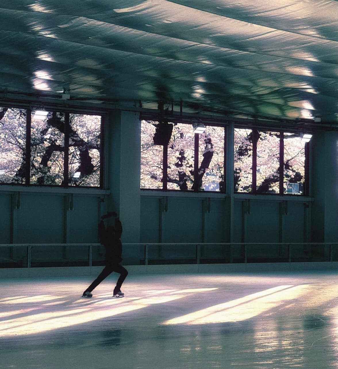満開の桜に包まれたMAO RINKで、笑顔でスケートを楽しむ浅田舞の姿にファンうっとり♡