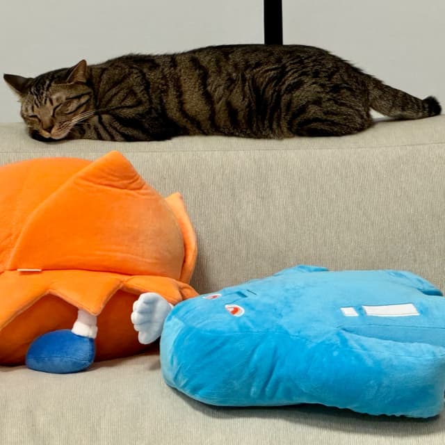 「ツナは 天の助と首領パッチと寝とる」Snow Man・佐久間大介が愛猫の最新ショットを公開