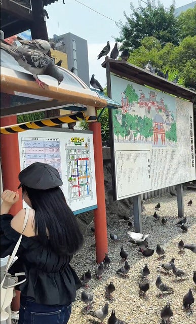 「可哀想だけど可愛い…」人気アイドルの〇〇チャレンジ“失敗ムービー”に反響