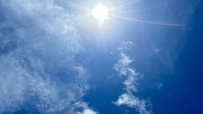 俳優・小西真奈美が事務所退所/独立を発表 数々の俳優賞を受賞した名女優