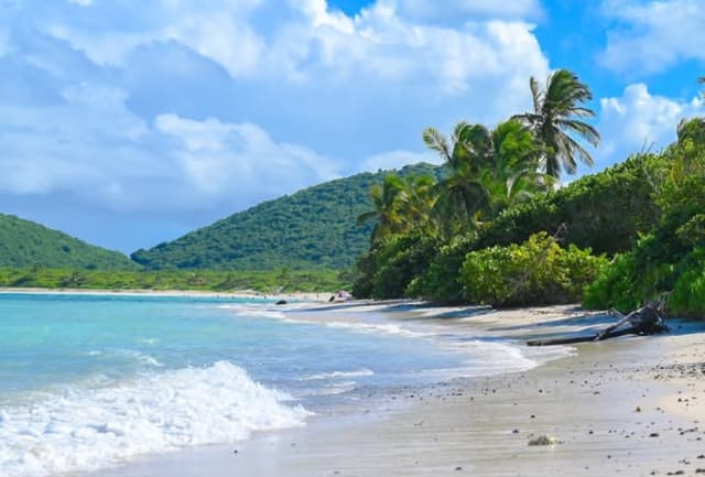 藤浪晋太郎 世界一美しいビーチを堪能