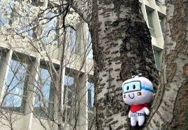 泉北高速鉄道、54年の歴史に幕　4月1日から「南海電鉄 泉北線」へ名称変更！