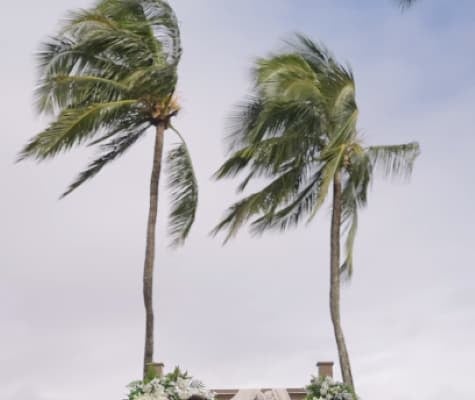 「私まで幸せな気分になりました。」フィットネストレーナーAYAが幸せな結婚式ムービーを公開！