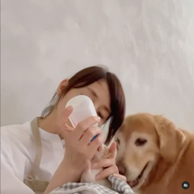 石田ゆり子が子猫の成長を振り返る。「本当に幸せな日々だったな」