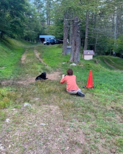 にしおかすみこがワンちゃんを撮っている姿を撮られる！？