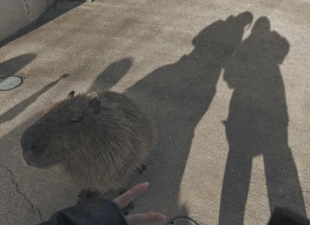 「とっても幸せな旅でした」与田祐希が熊本旅を楽しむ