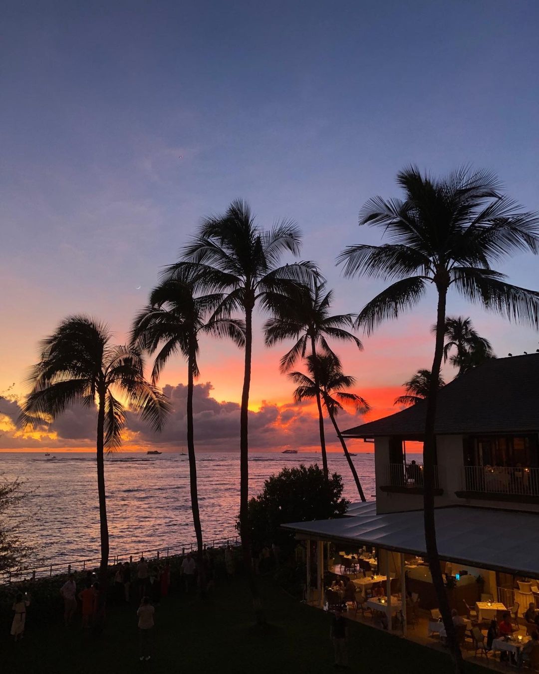 梅野隆太郎 優勝旅行オフショットを公開✨「ハワイ旅行🌴🌺⛳️🏌️‍♀️」