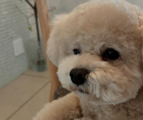 「ちょっとの勇気で新しい自分に」加藤綾菜、資格取得に向けて勉強開始！“前向き投稿”に共感の声