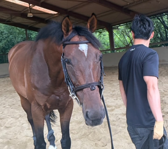 川田将雅が引退馬メテオと“癒しの時間”を公開！優しい眼差しにファンほっこり