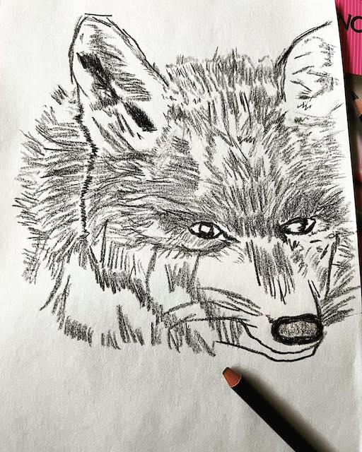 ⛸宇野昌磨　美術の才能が話題!?「狐お絵描き」