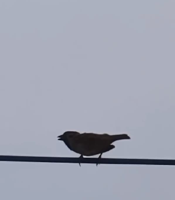 「無理するんじゃないぜぇ」スギちゃん、毎日の来客〇〇に優しすぎる呼びかけが話題に