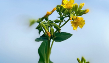 藤原紀香、「前を向いて笑顔で」試練に感謝のメッセージ