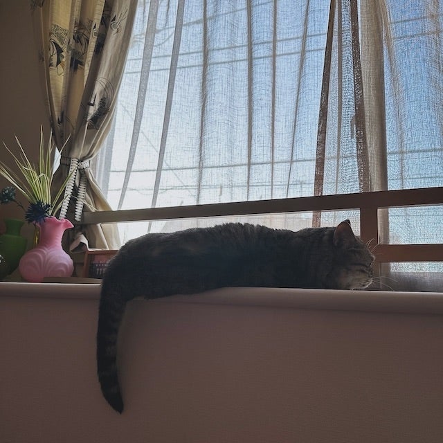 安達祐実が離婚を発表 カメラマン桑島智輝との10年の夫婦生活に終止符