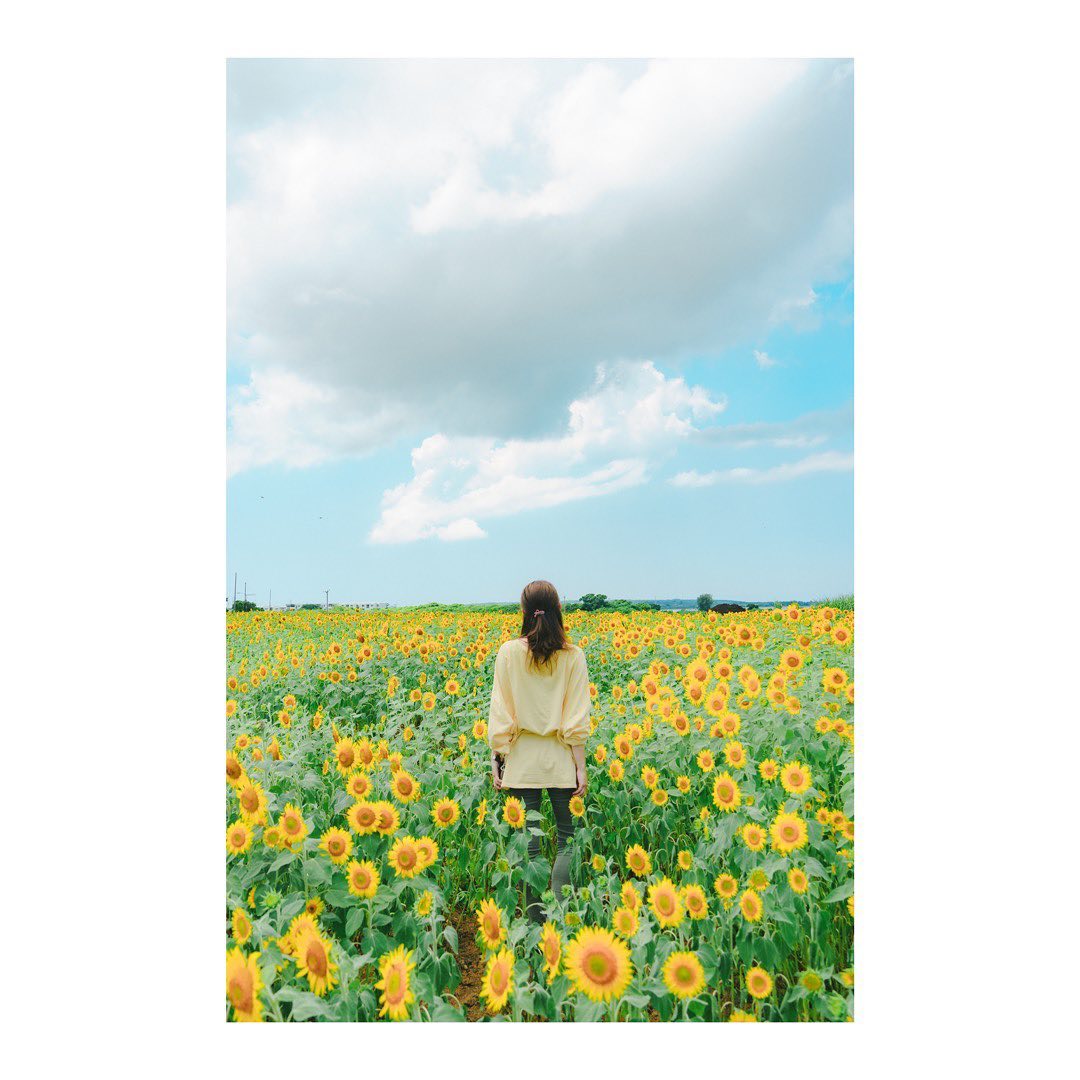 木村文乃さんがイタリアへ、国際映画祭への意気込みを語る🌻