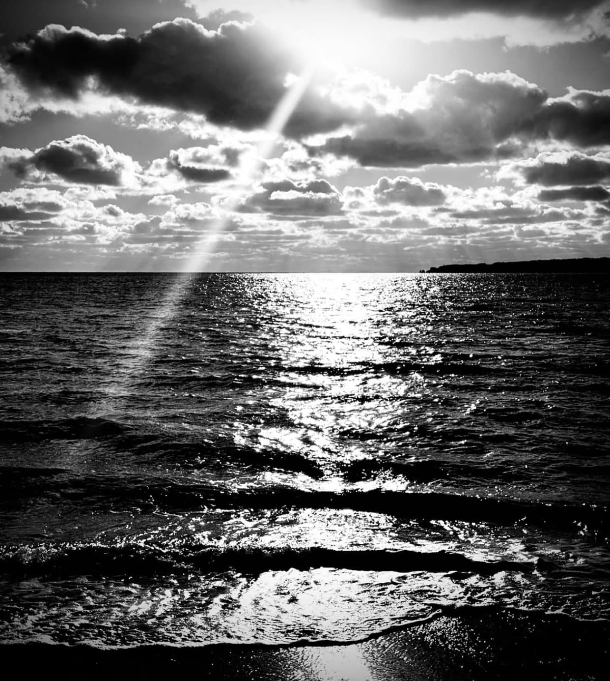 蜷川実花、昨年世界遺産登録された