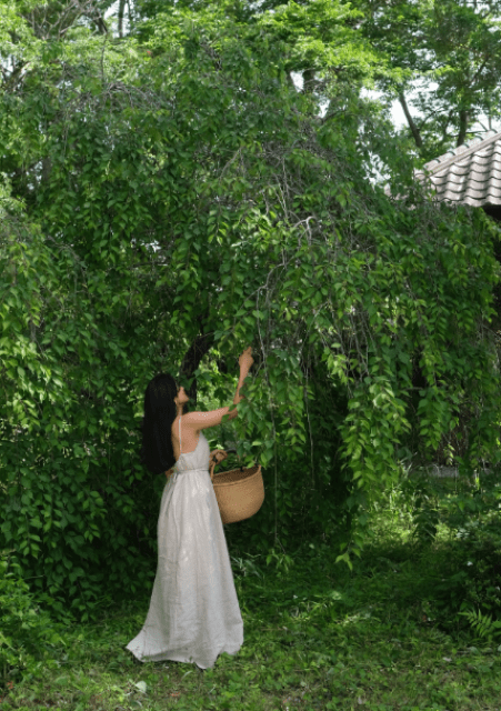 「今年の梅仕事がはじまったよ」ローラ、最新スローライフショットにファンも興味津々