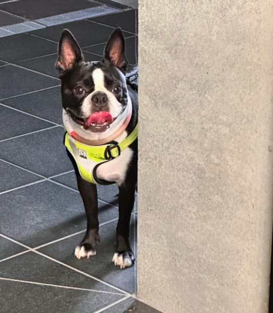 木村了の帰りを待つのは？「可愛すぎる」のコメント多数