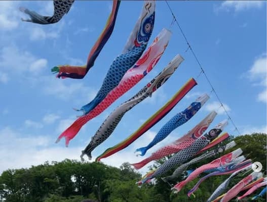 木村沙織がGWでのほっこり家族写真を投稿！