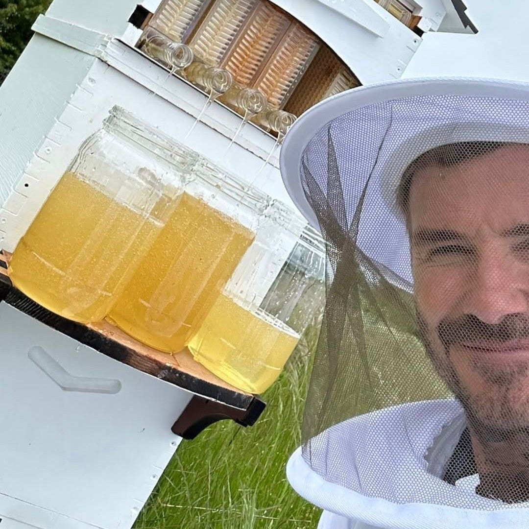 ベッカム、世界ミツバチデーに"マイミツバチ"へお祝い！はちみつ採蜜の様子も公開！