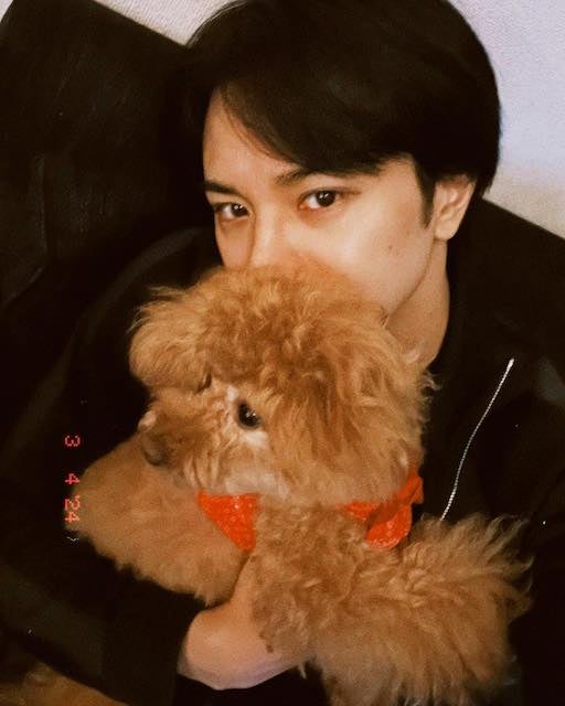 中島健人の愛犬への愛溢れる1枚が素敵すぎると話題に