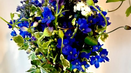 「青い花に癒やされる！」夏木マリの朝ショットにファン感激「マリ様、幸あれ！」