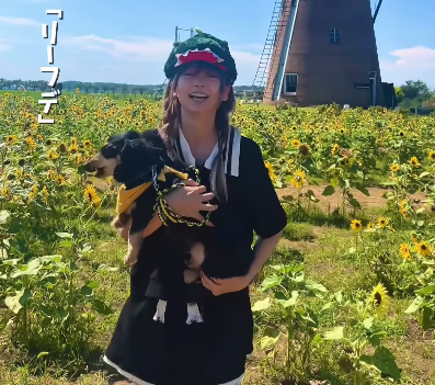 美女YouTuber、オランダ風車とヒマワリ畑で魅せた”夏が始まった・ドリーミングムービー”を披露！ファン夢心地