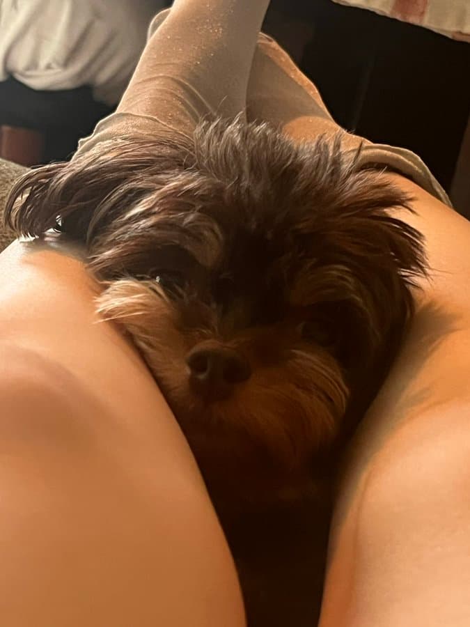 黒沢ともよがわんちゃんを抱き枕ならぬ…ハマってること！