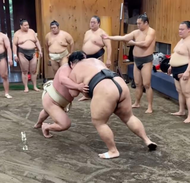 木瀬部屋・紫雷関＆一意のぶつかり稽古！朝の緊迫シーン公開した！