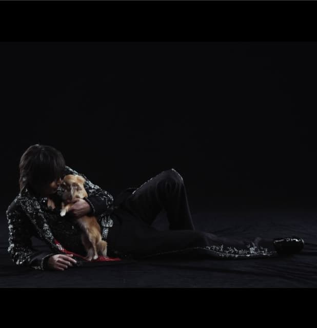 堂本光一の愛犬パン『虹の橋を渡りました』