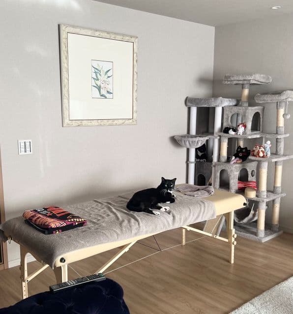 藤あや子、マッサージ予約に