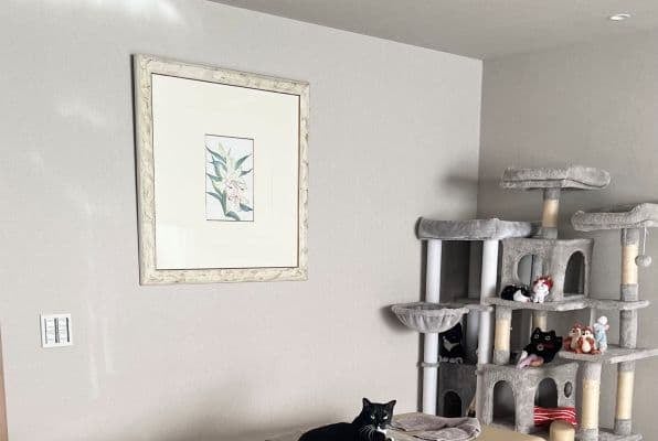 藤あや子、マッサージ予約に