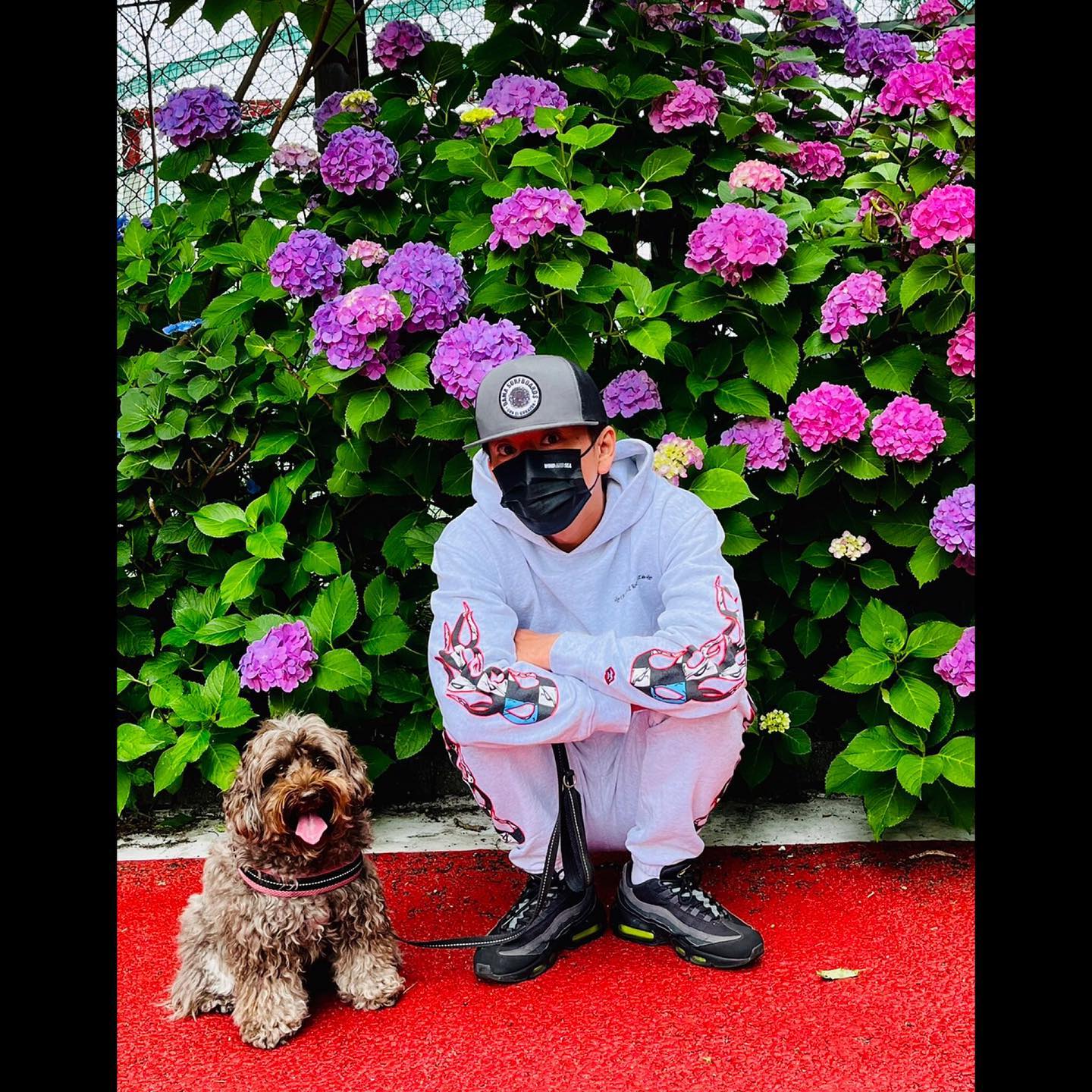 木村拓哉さんが愛犬と散歩中に見つけた鮮やかな景色🌺