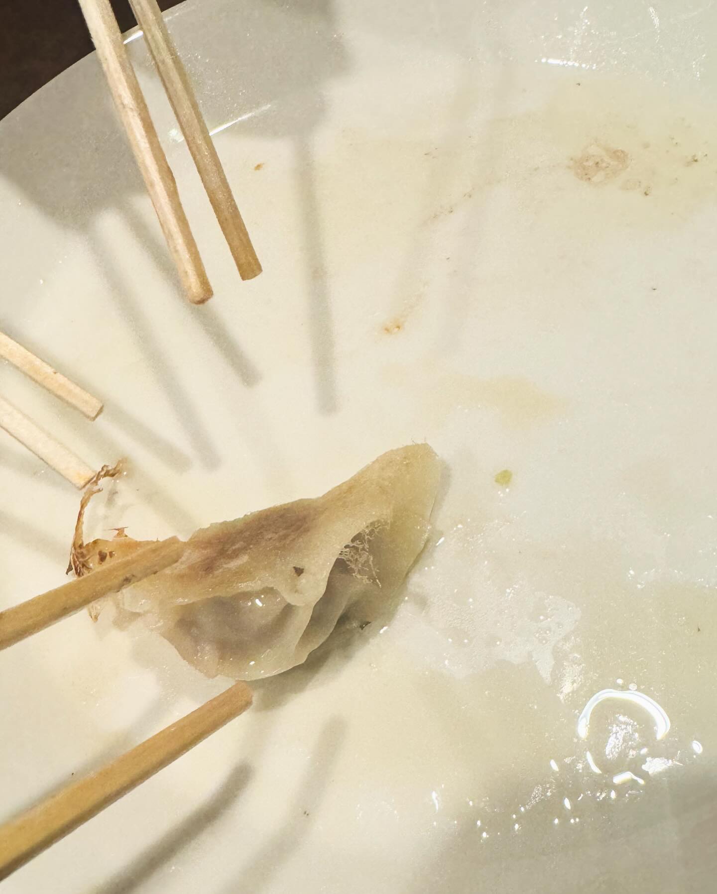 「#世界中の餃子食べ尽くす企画」菊池風磨が餃子を手作り✨ 衝撃の個数も話題👀