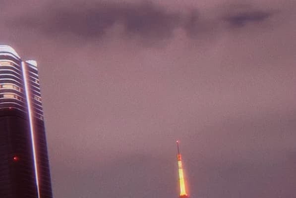 「そんなライトアップあるの？凄いね」大沢あかねが公開した東京タワーと美しいバラにファン大興奮