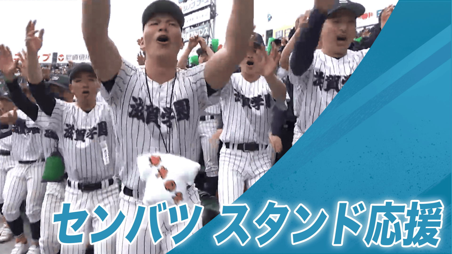 センバツ2026】スタンドも主役 滋賀学園のダンス、神村学園と大阪桐蔭